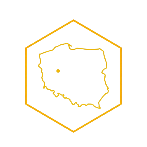 Miód naturalny z Polski, ikona mapy z punktem lokalizacji oznaczająca regionalne pochodzenie miodów z Poznańskiej Pasieki.